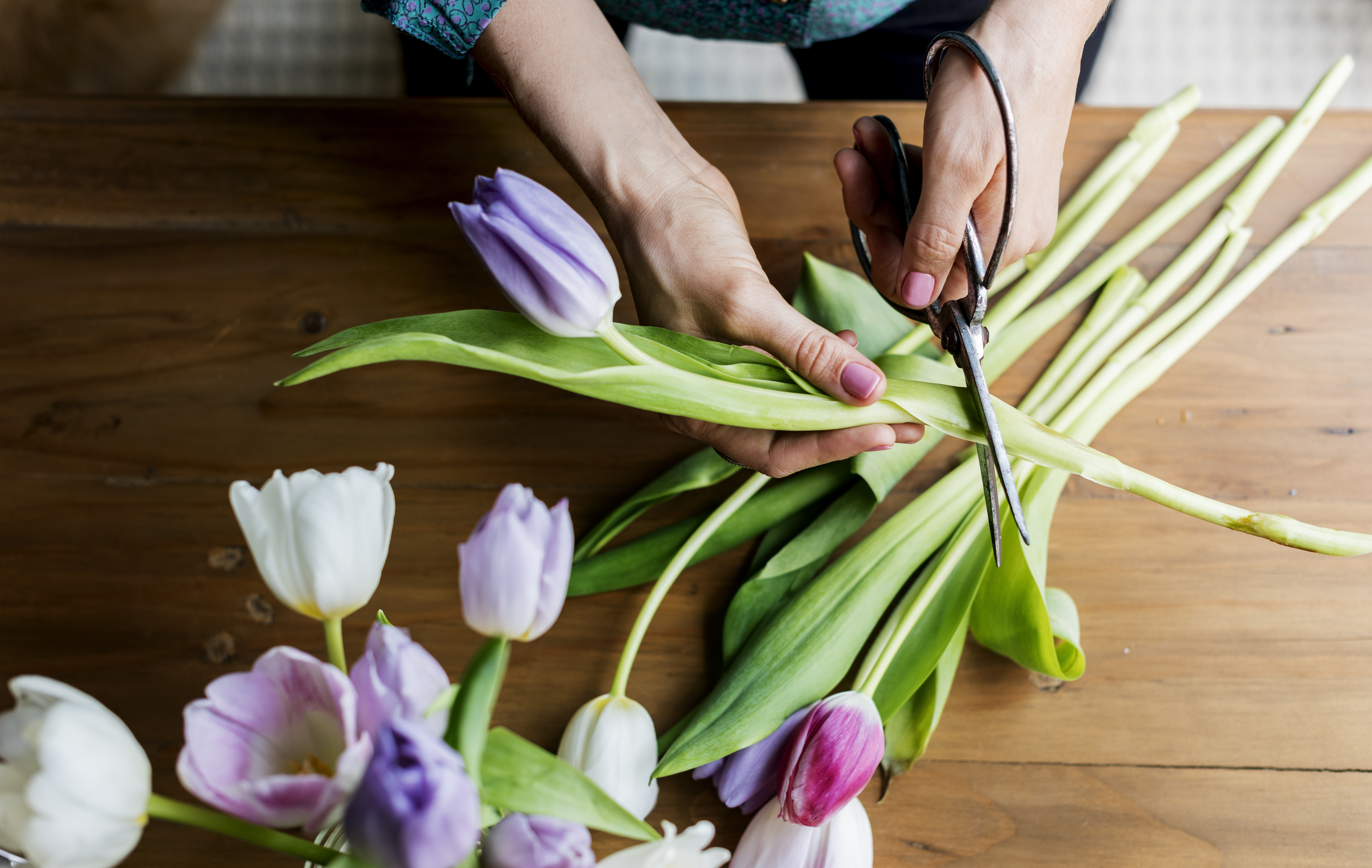 Как сохранить свежие тюльпаны в вазе. Flower Cutting activity. Panamerican Cut Flowers. Flowers for Cutting. Flowers are Cut.