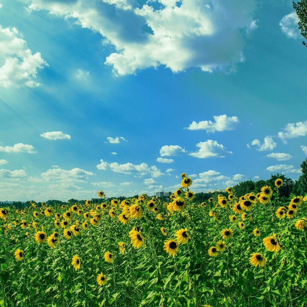 Tipps und Tricks für den Sommer