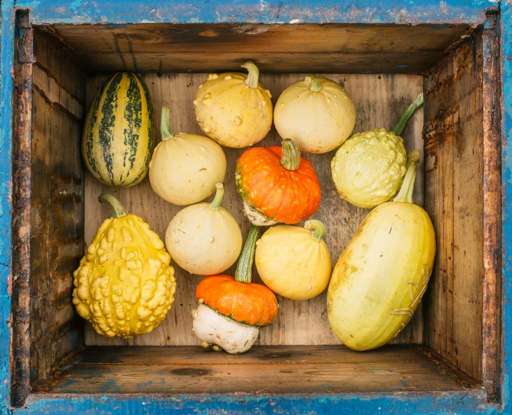 Gesund Essen im Herbst