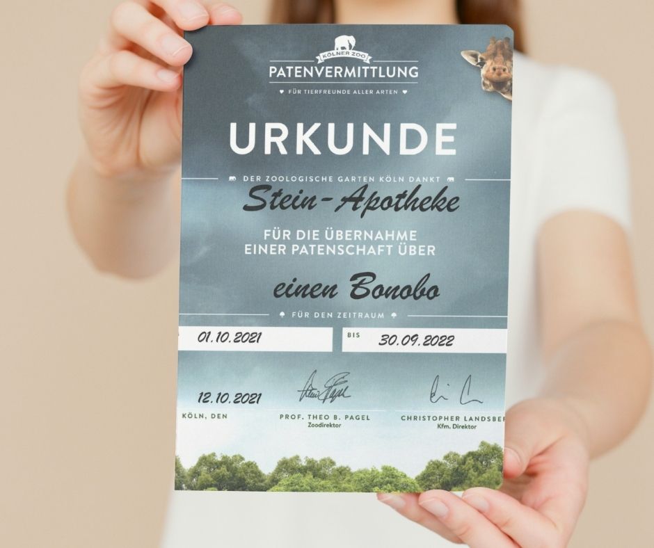 apotheke-social-media-beitraege-5