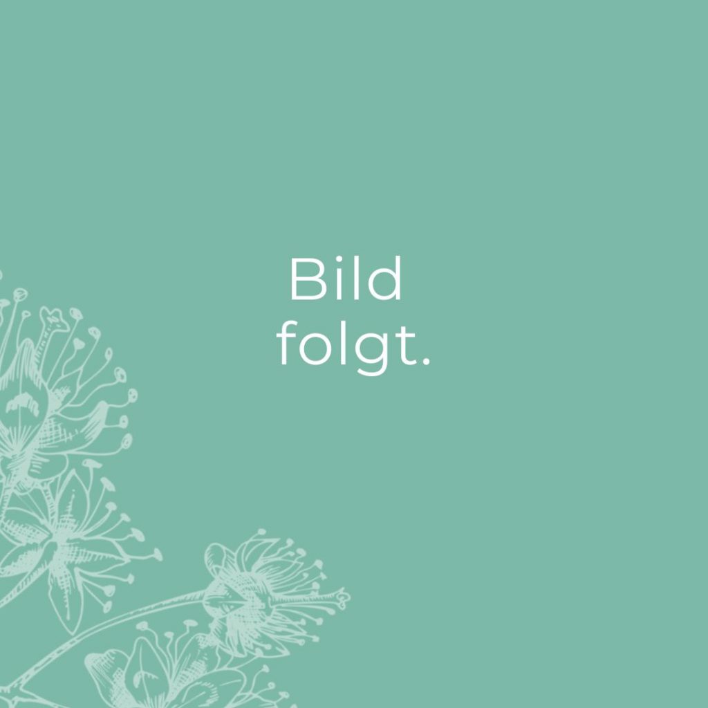 Bild Platzhalter Foto